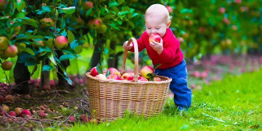 Causas da obesidade infantil - Respeite a fome do seu filho!