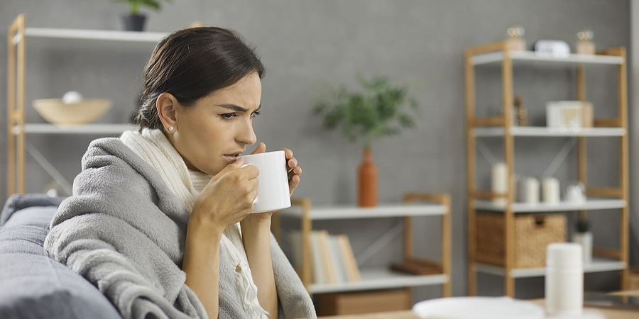 melhores alimentos para gripe