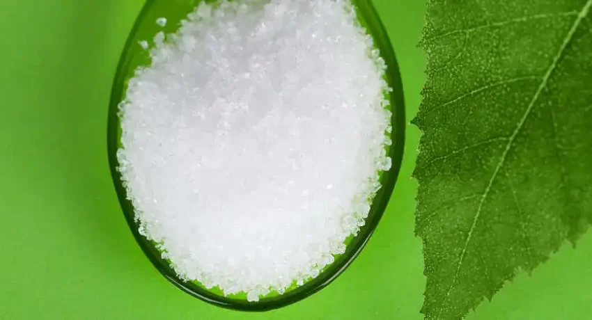 Xilitol ou stevia: qual é o melhor? Saiba como se decidir