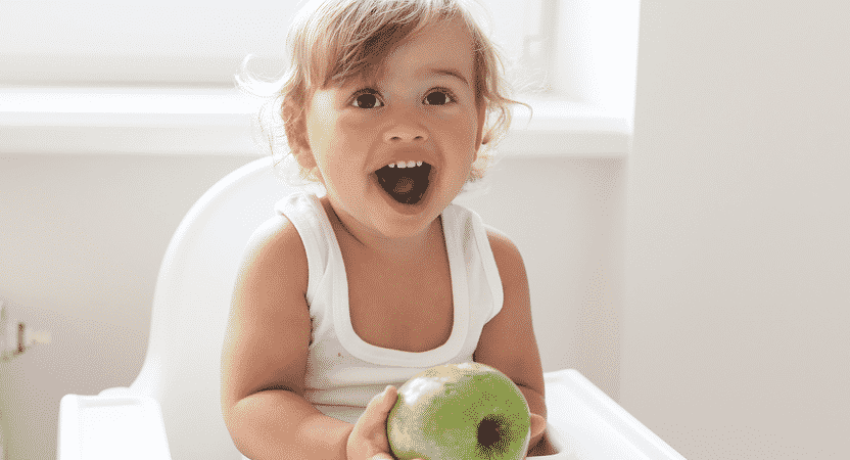 alimentação saudável bebê 1 ano