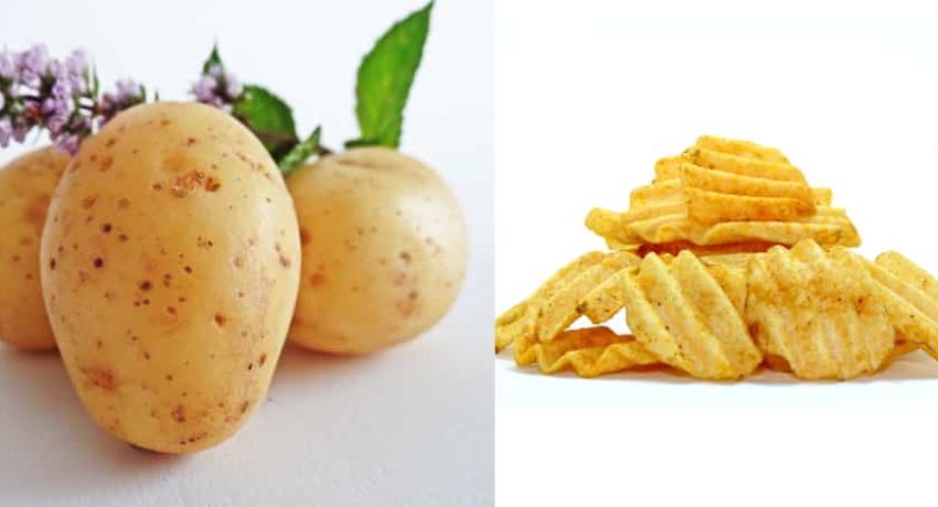 alimentos naturais e industrializados