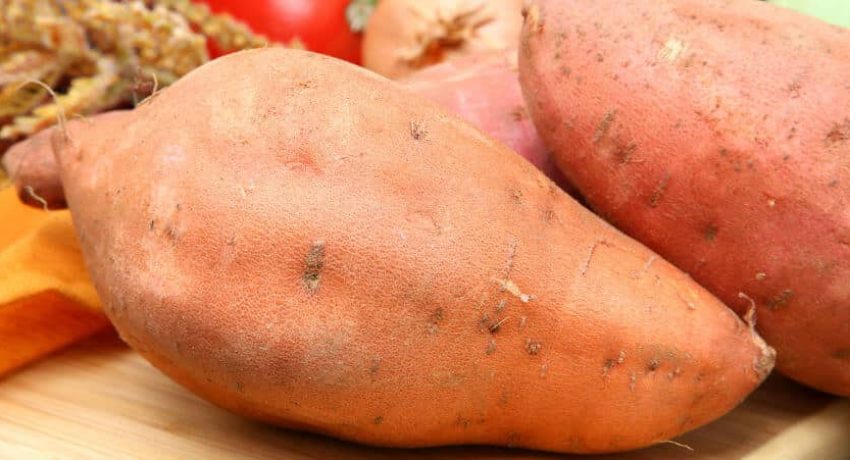 Batata doce engorda ou emagrece?