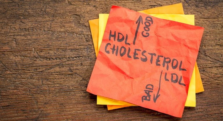 Como aumentar o colesterol bom