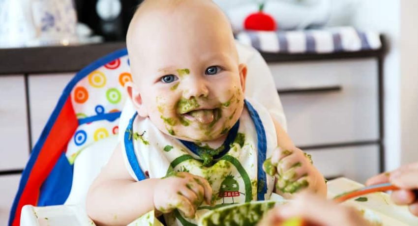 Como fazer a primeira papinha