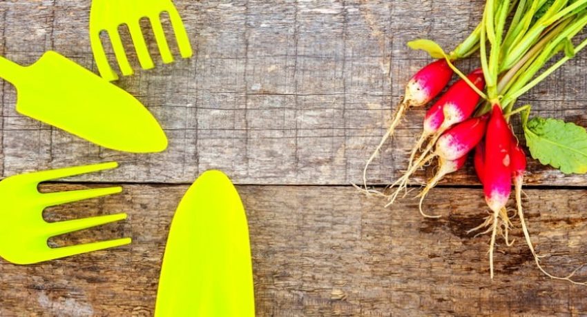 como-fazer-horta-em-casa