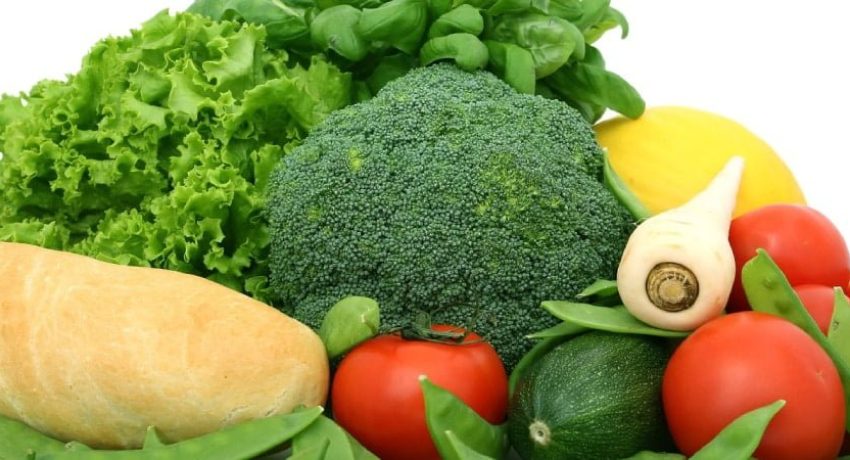 fibras na alimentação