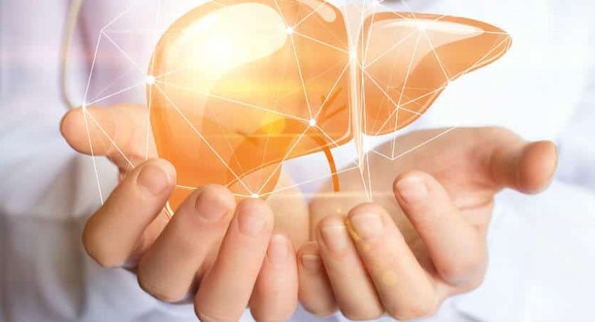 O que causa gordura no fígado?