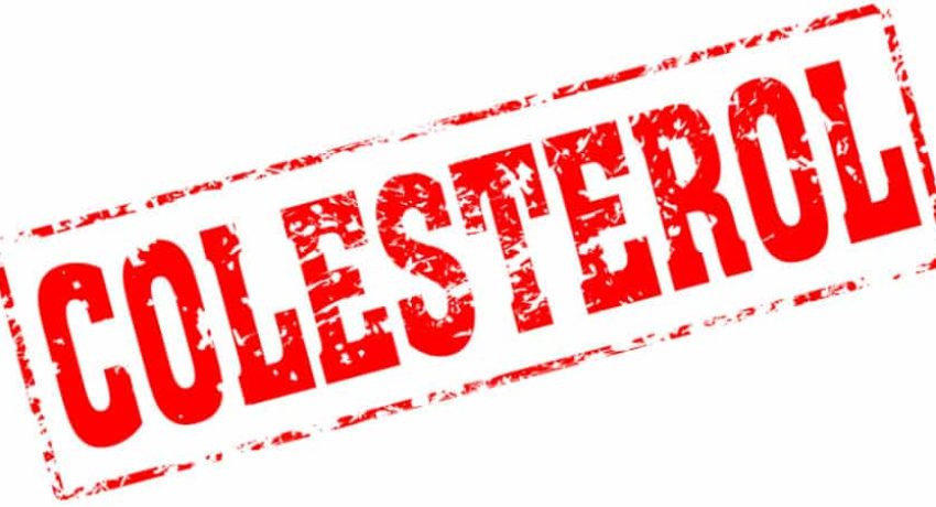 o que é colesterol