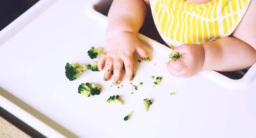 o que é blw baby led-weaning
