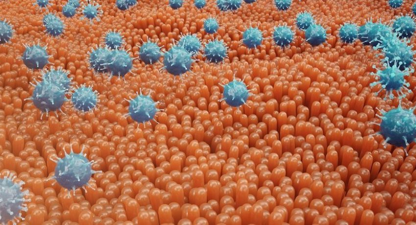 o que é microbiota intestinal