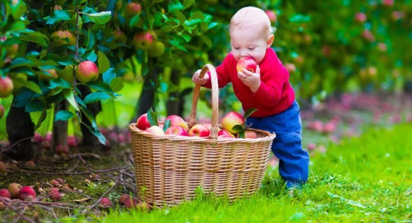 Causas da obesidade infantil - Respeite a fome do seu filho!
