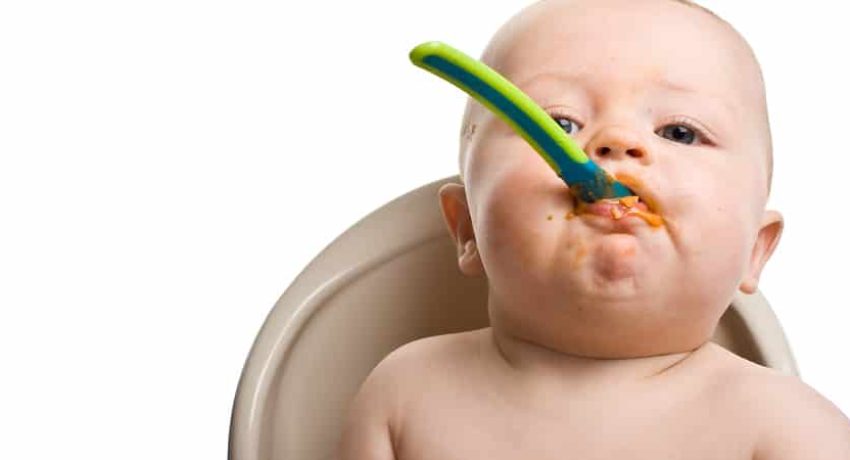 receitas de papinhas salgadas para bebês de 6 meses