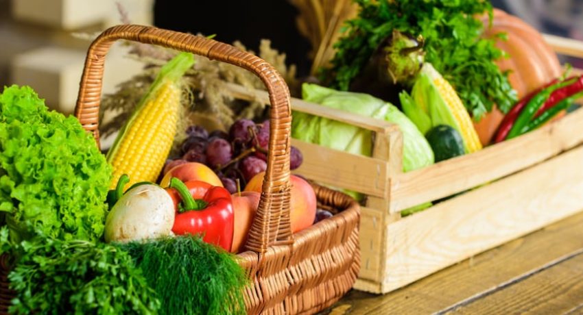 vantagens dos alimentos orgânicos